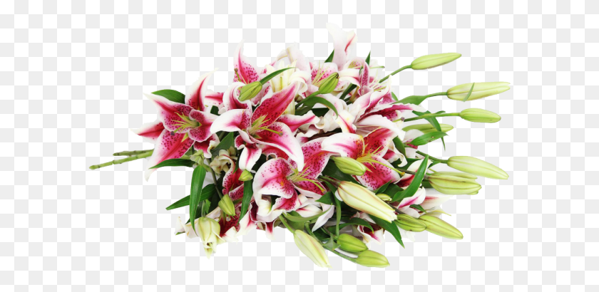 595x350 Букет, Растение, Цветок, Цветение Hd Png Скачать