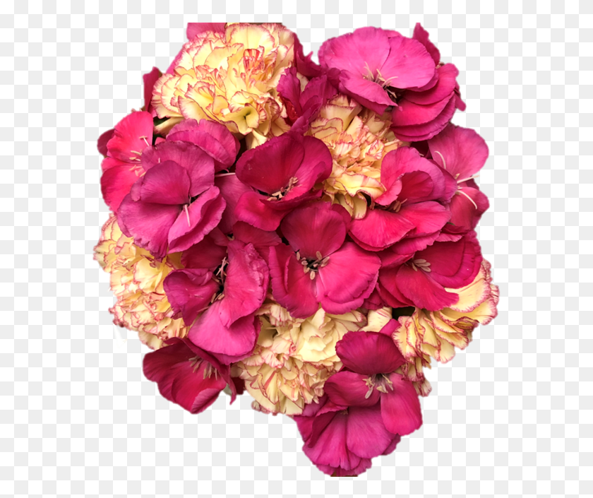 579x645 Букет, Растение, Цветочный Букет, Цветочная Композиция Hd Png Скачать