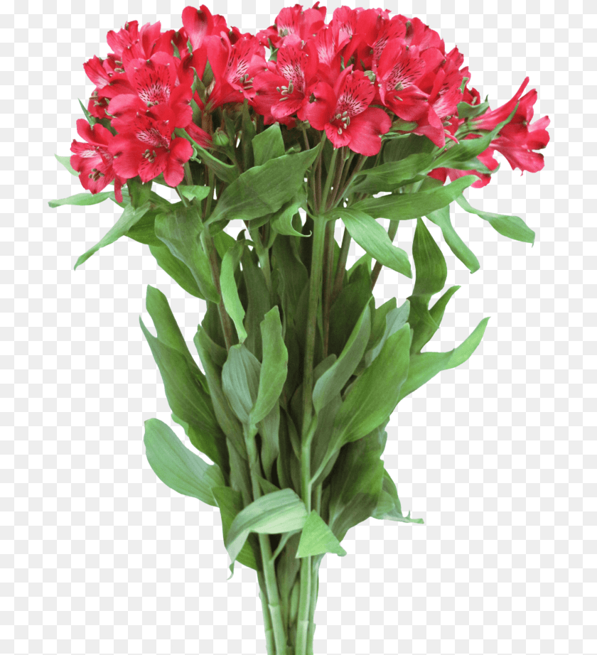 710x922 Bouquet, Flower, Flower Arrangement, Flower Bouquet, Geranium Transparent PNG