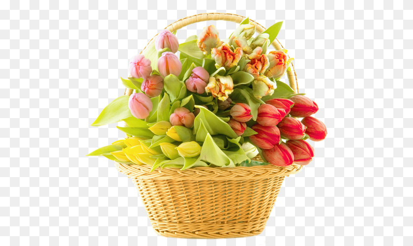 500x500 Bouquet, Flower, Flower Arrangement, Flower Bouquet, Plant Transparent PNG