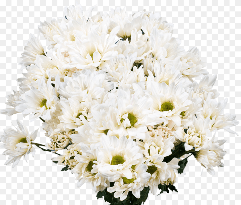 997x851 Bouquet, Flower, Flower Arrangement, Flower Bouquet, Plant Transparent PNG
