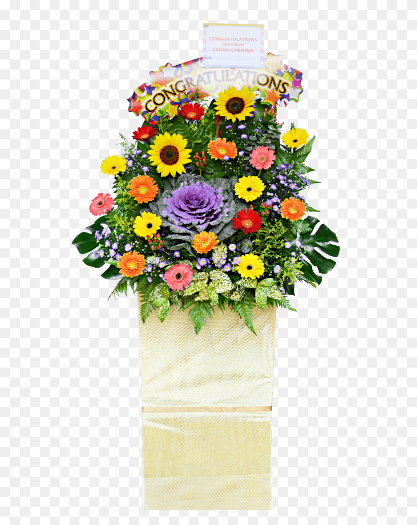 573x997 Букет, Растение, Цветок, Цветение Hd Png Скачать
