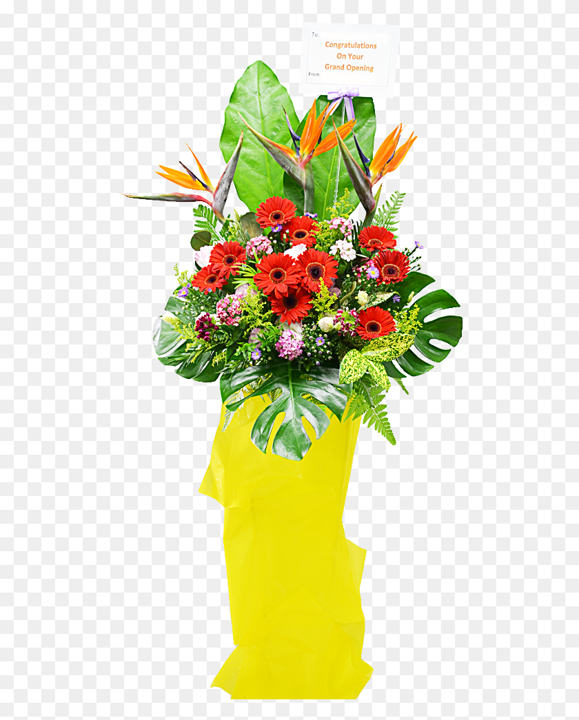 505x985 Bouquet, Plant, Flower, Blossom HD PNG Download