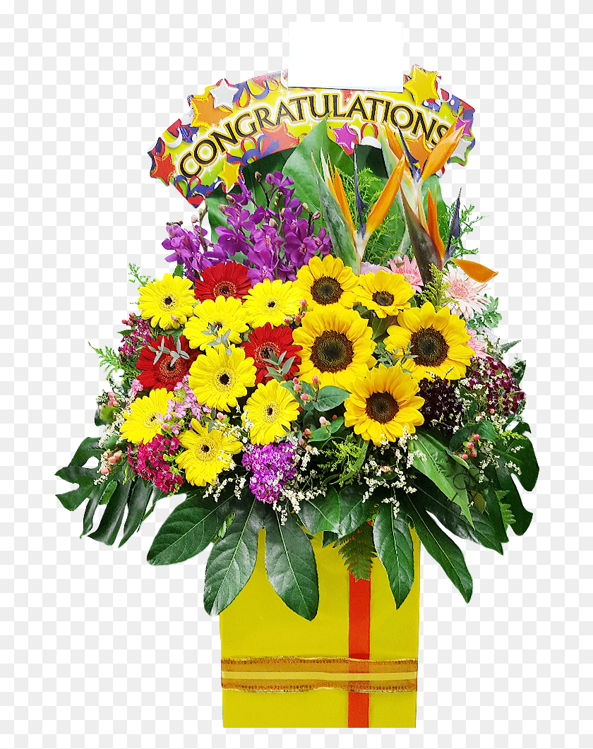 688x1001 Bouquet, Plant, Flower, Blossom HD PNG Download