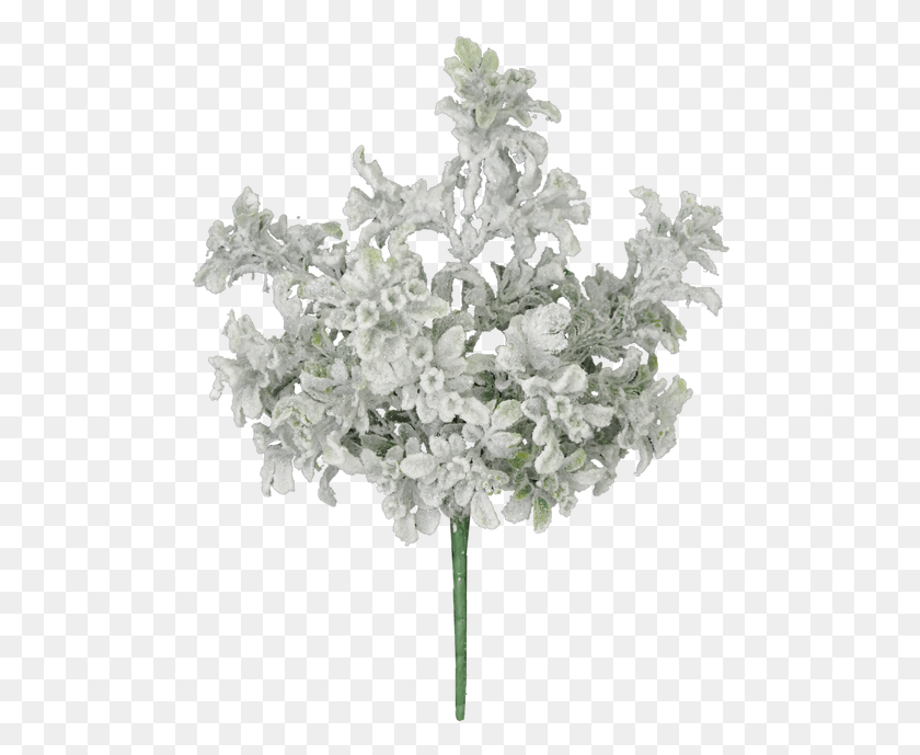 500x629 Букет, Растение, Цветок, Цветение Hd Png Скачать