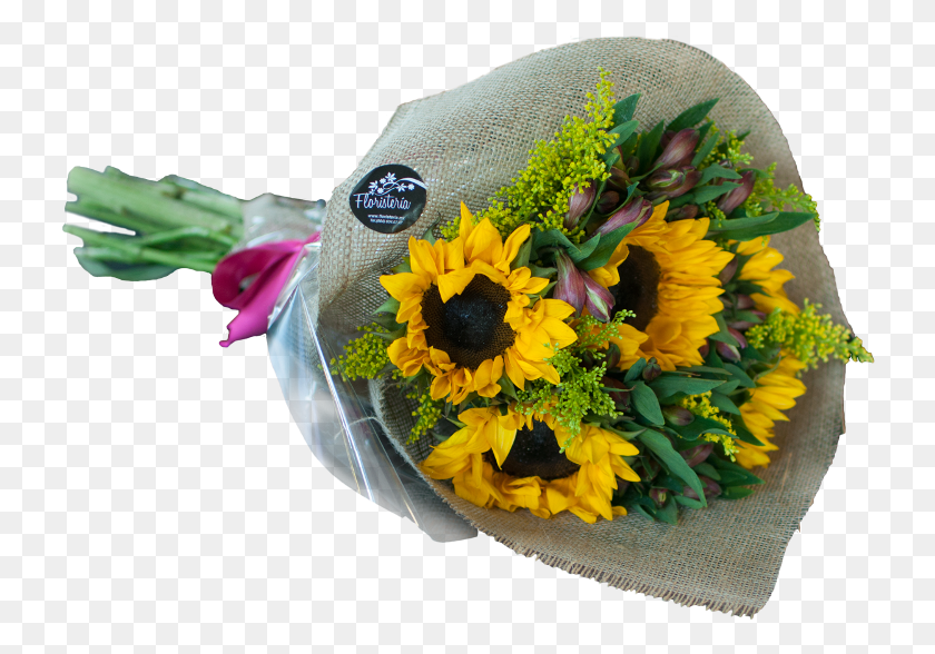 732x528 Bouquet Bouquet, Plant, Flower, Blossom HD PNG Download
