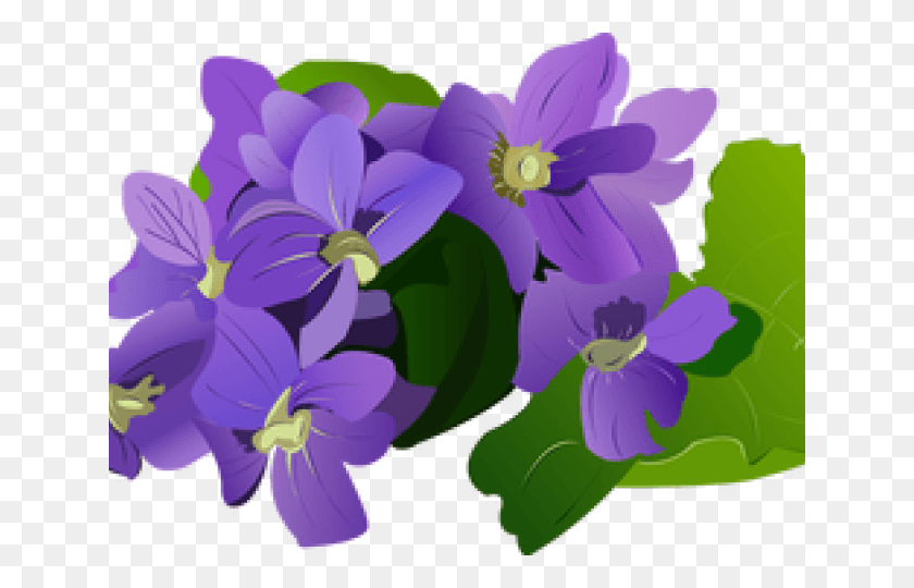 640x480 Bouquet Clipart Summer Flower Violet Flower Viole Clipart, Plant, Blossom, Pansy HD PNG Download