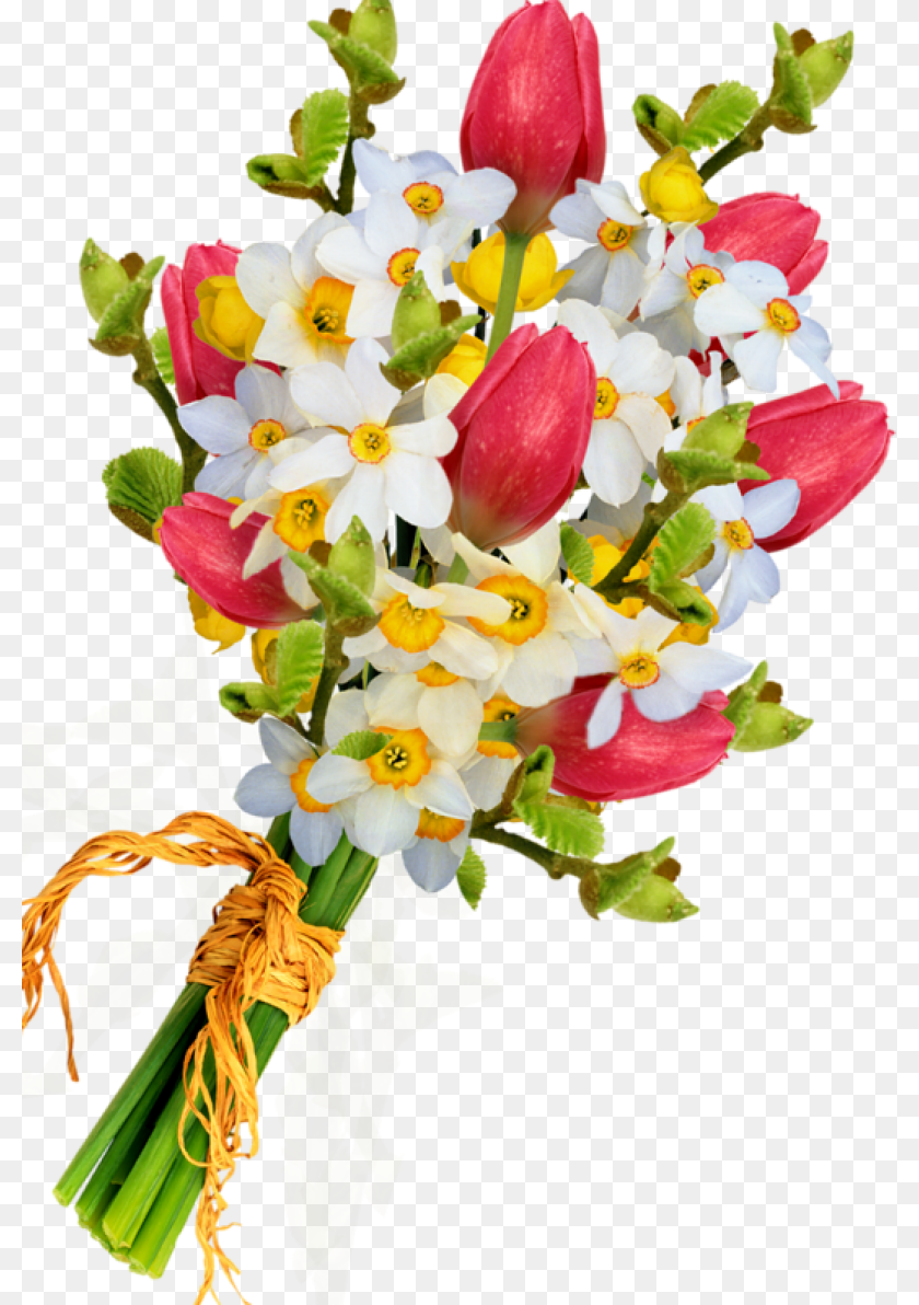 800x1192 Bouquet Flowers Bouquet Of Flowers, Flower, Flower Arrangement, Flower Bouquet, Plant Clipart PNG