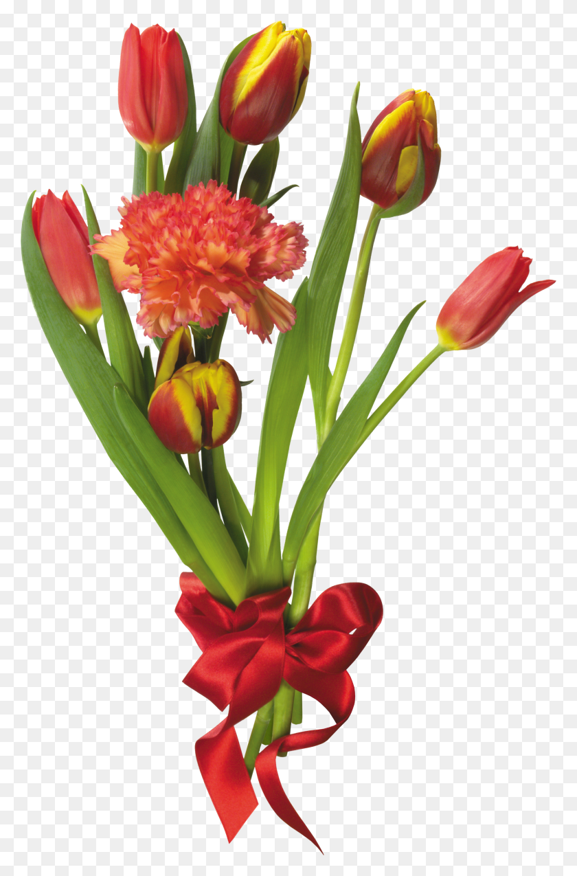 1925x3000 Bouquet Of Flowers Images Free 9 Maya Kartinki Cveti, Plant, Flower, Blossom HD PNG Download