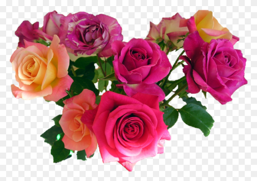 859x588 Bouquet Of Flowers Images Free Share Chat Good Morning, Plant, Rose, Flower HD PNG Download