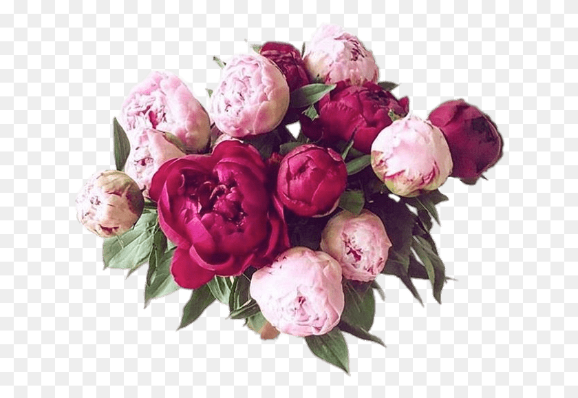 628x518 Bouquet Of Peonies Types Of Peony, Plant, Flower, Blossom HD PNG Download