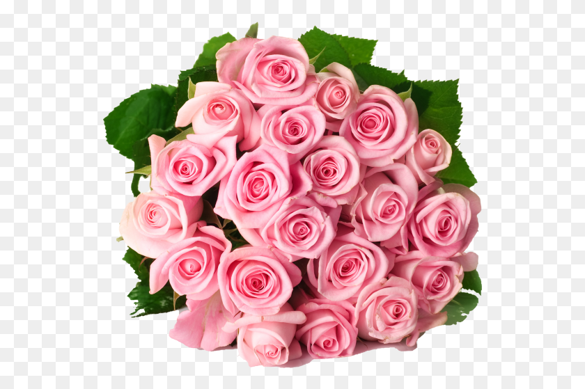 547x499 Bouquet Of Pink Roses Pomelo Pink Flower, Plant, Flower, Blossom HD PNG Download
