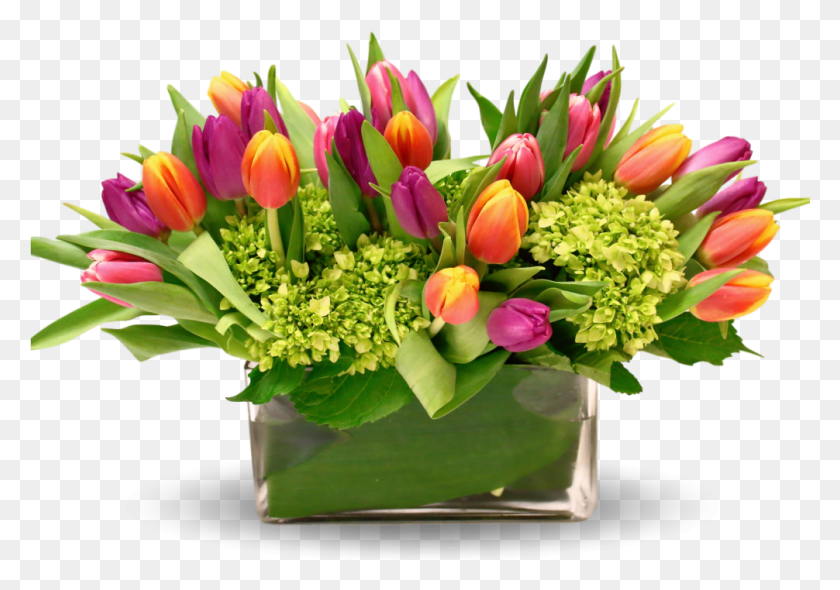 1006x684 Букет Тюльпанов, Растение, Цветок, Цветение Hd Png Скачать
