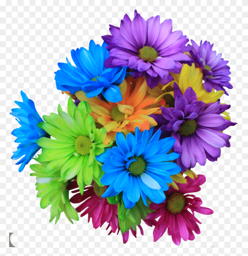 801x830 Bouquet Transprent Free Daisy Flowers Bouquet, Plant, Flower, Blossom HD PNG Download