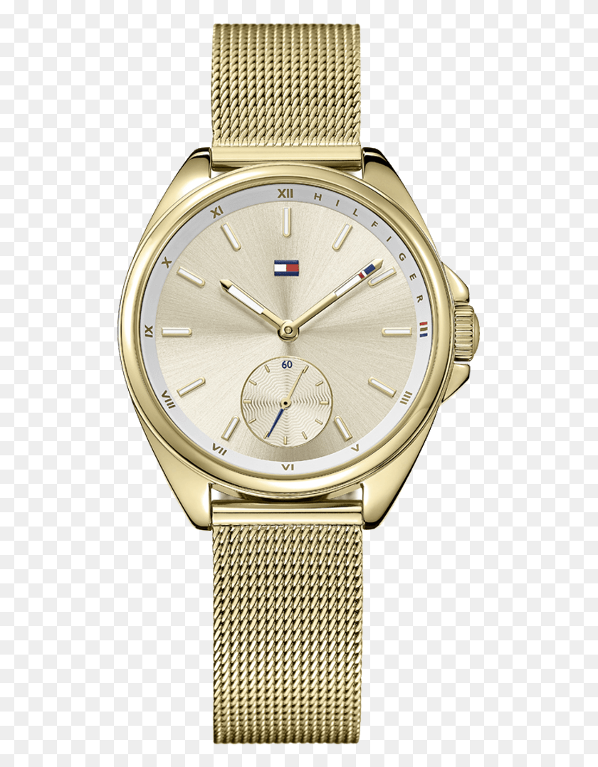 513x1018 Boutique Dos Relgios Tommy Hilfiger Horloge Goud, Wristwatch, Clock Tower, Tower HD PNG Download