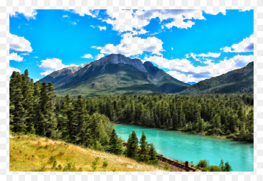 2400x1600 Bow River Canada, Tree, Plant, Nature HD PNG Download