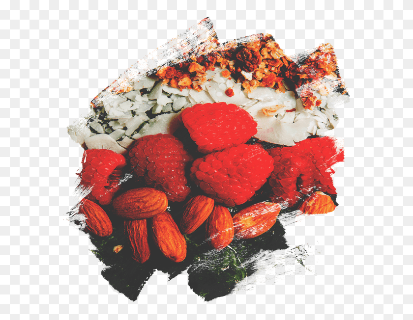 586x592 Tazones De Fresa, Planta, Alimentos, Pétalo Hd Png