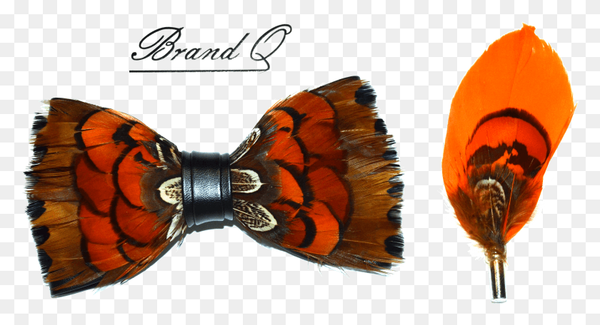 Bowtie Brush Footed Butterfly Vanessa Butterfly Descargar HD PNG