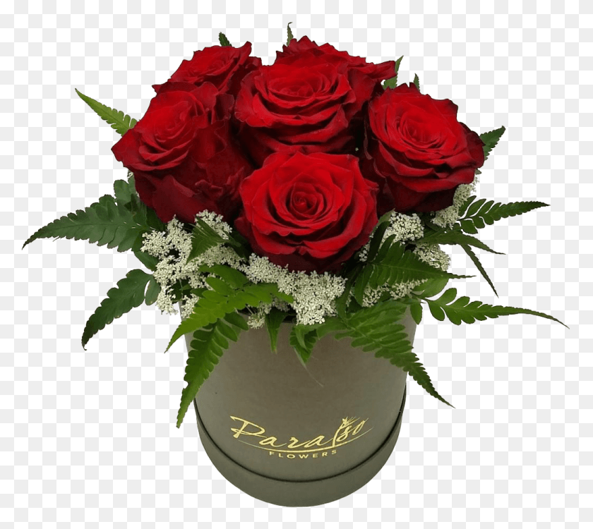 1044x924 Коробка Композиция Из 6 Эквадорских Роз Лучший День Святого Валентина, Растение, Роза, Цветок Png Скачать