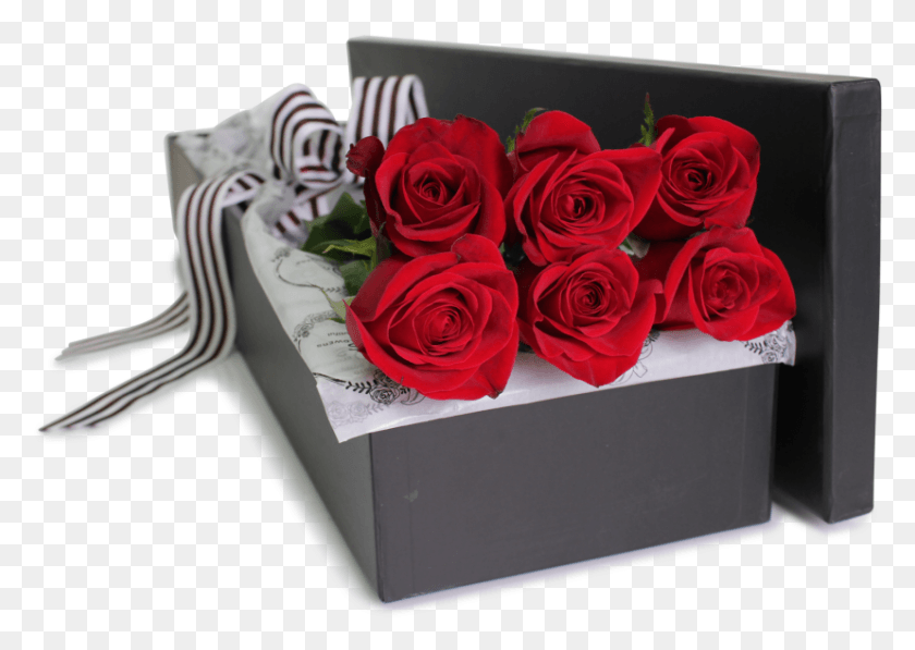 828x571 Красные Розы В Коробке, 6 Стеблей, Роза, Цветок, Растение Hd Png Скачать