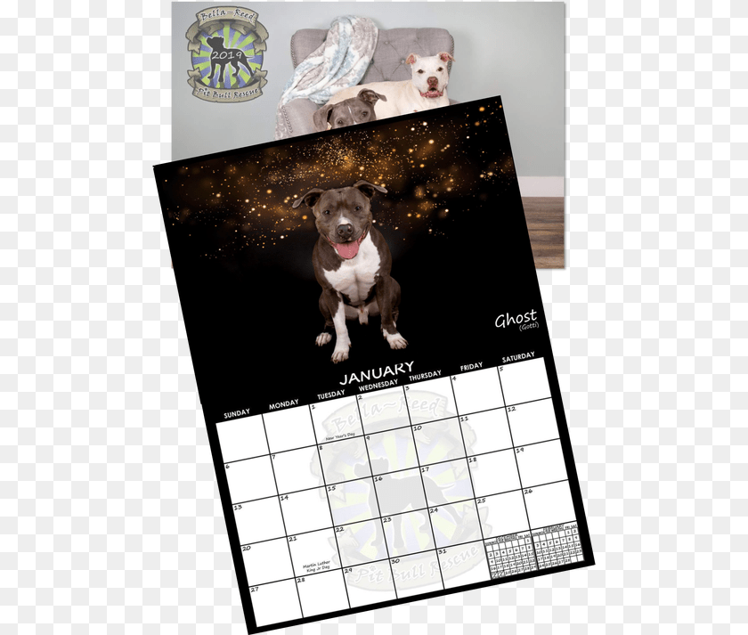 Boxer, Text, Animal, Canine, Dog Sticker PNG