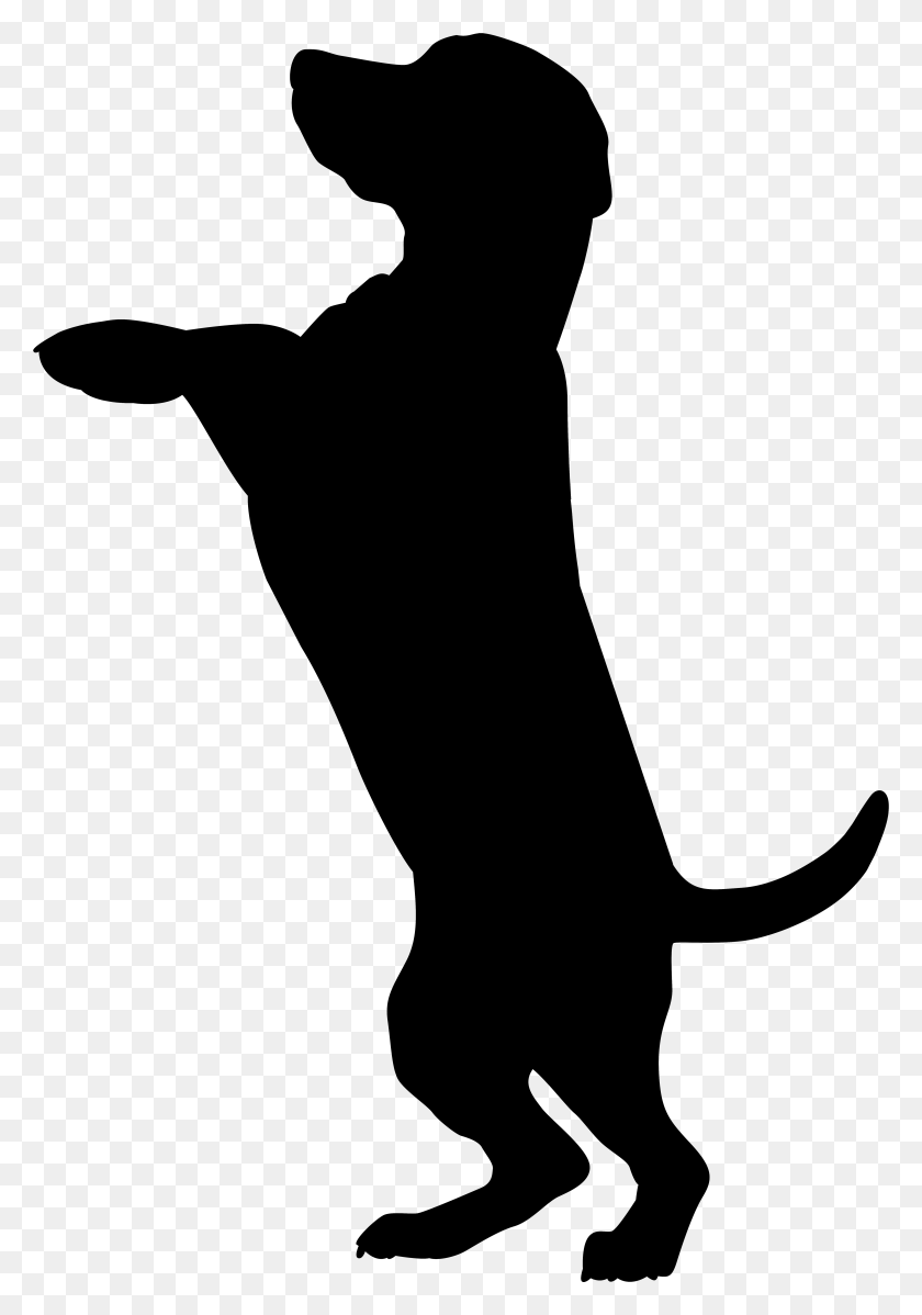 5321x7766 Boxer Dobermann Cat Pet Sitting Silhouette Dog Silhouette Transparent Background, Gray, World Of Warcraft HD PNG Download