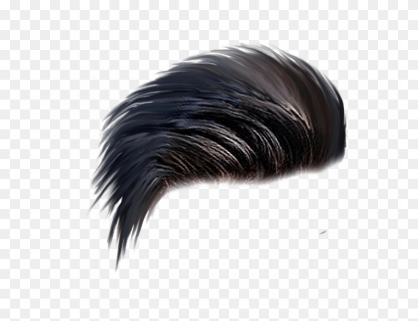 820x616 Boys Haircut Free Image Hair Style, Beak, Bird, Animal HD PNG Download