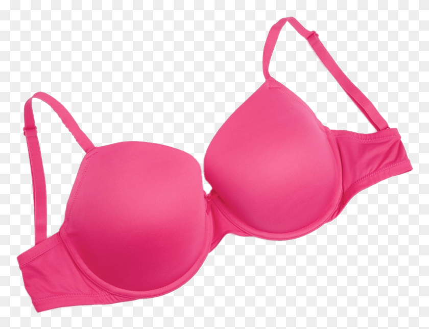 1731x1298 Bra, Clothing, Apparel, Lingerie HD PNG Download