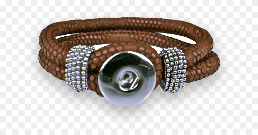 678x381 Bracelet, Snake, Reptile, Animal HD PNG Download