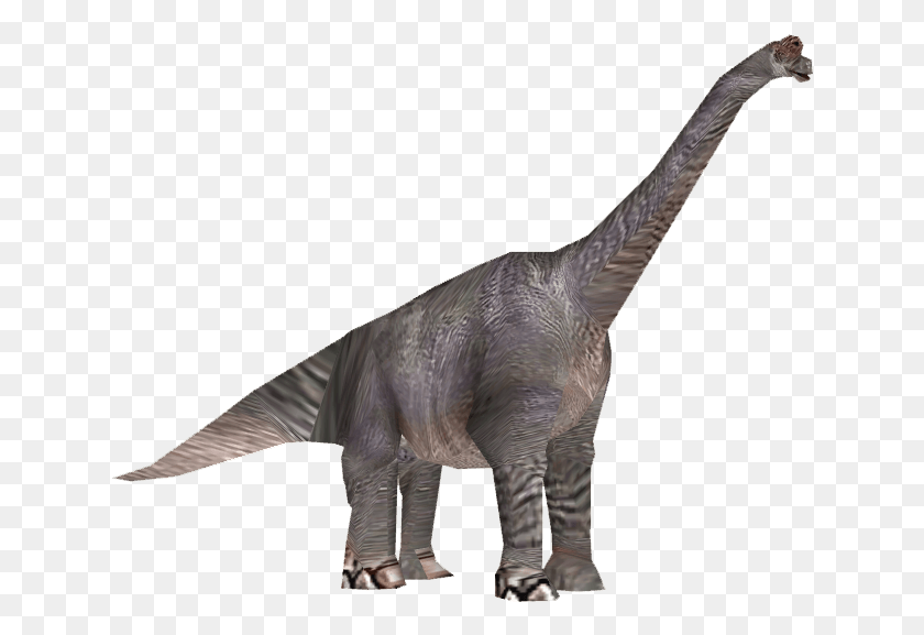 638x517 Descargar Png Brachiosaurus Brachiosaurus, Dinosaurio, Reptil, Animal Hd Png