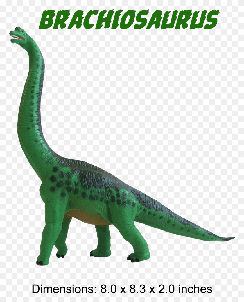 1345x1688 Brachiosaurus Modelo, Reptil, Animal, Dinosaurio Hd Png