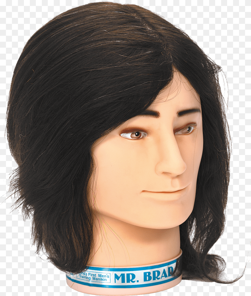 Brad Minikin Lace Wig, Adult, Female, Person, Woman Clipart PNG