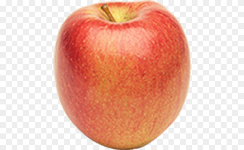 475x517 Braeburn Apple, Plant, Produce, Fruit, Food Sticker PNG