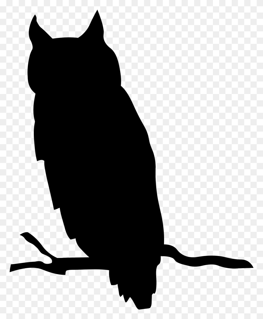 1841x2263 Braid Clipart Halloween Owl Silhouette, Gray, World Of Warcraft HD PNG Download