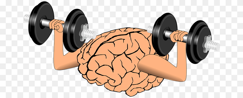 Brain Body Part, Hand, Person PNG