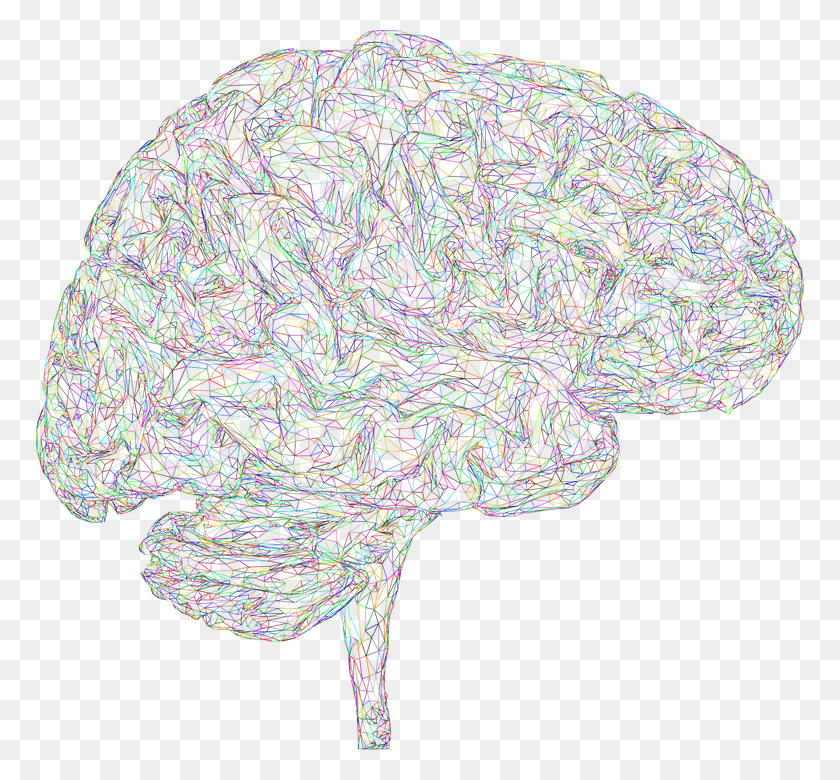 768x720 Brain 3d Thought Mind Mental Think Psychology A Drawing, Sweater, Clothing, Apparel HD PNG Download