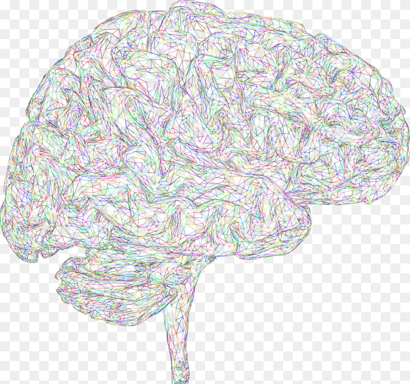 Brain 3d Thought Mind Mental Think Psychology Cerebro 3d, Pattern, Accessories, Fractal, Ornament Clipart PNG