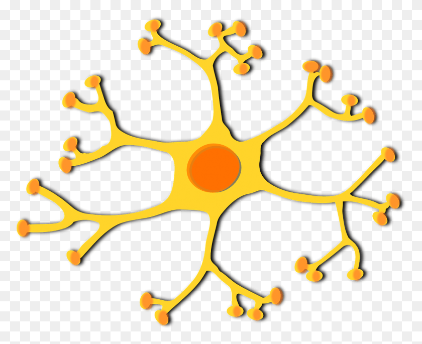 1216x975 Brain Cell Clipart, Symbol, Sun, Sky HD PNG Download