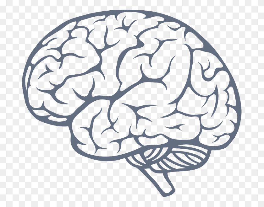 700x600 Brain Image Brain Side View Vector, Text, Rug, Handwriting HD PNG Download