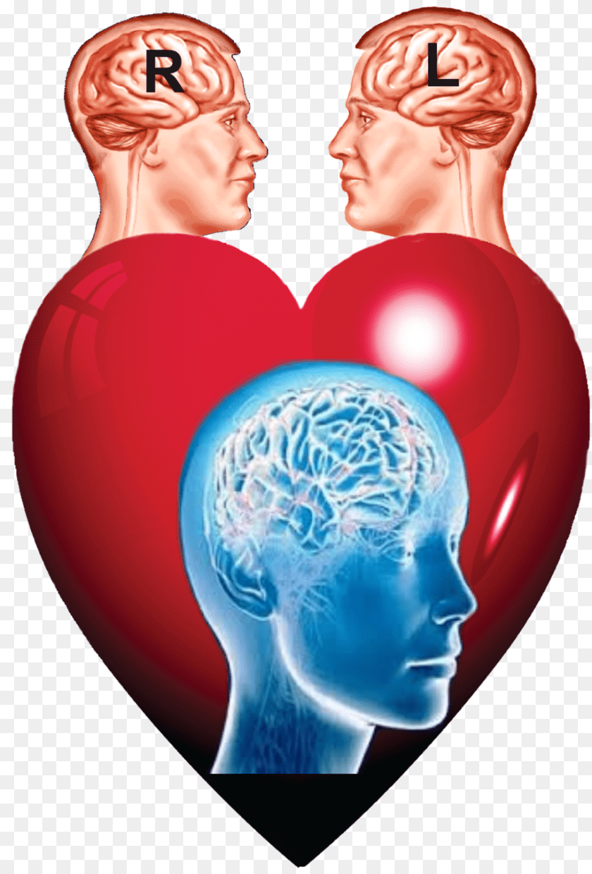 916x1352 Brain Creative Commons, Balloon, Adult, Person, Woman PNG