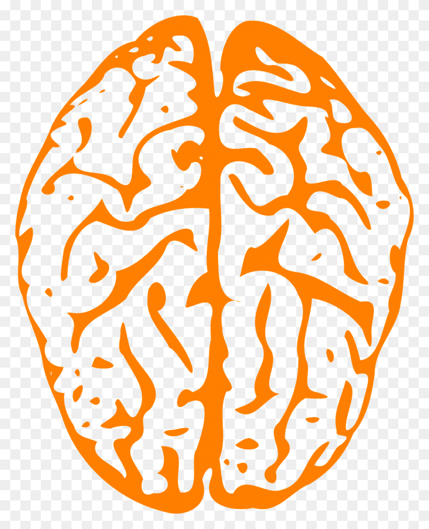 1022x1280 Мозговой Интеллект Человека Прозрачный Фон Мозг Картинки, Узор, Хэллоуин, Лабиринт Png Скачать