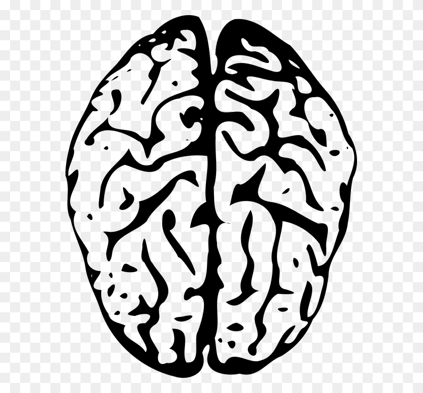 579x720 Brain Outline Brain Clipart Black, Gray, World Of Warcraft HD PNG Download