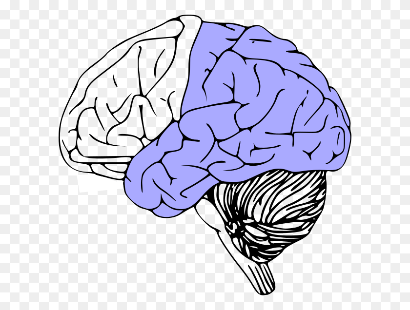 600x576 Brain Pic Black And White, Hand, Outdoors, Nature HD PNG Download