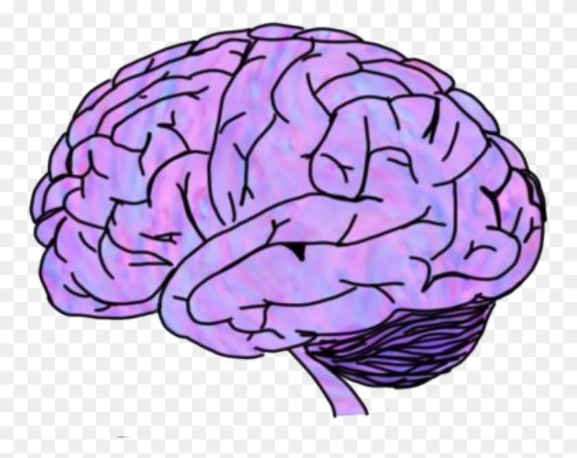 Мозги картинка. Стикер мозг. Прозрачный мозг. Мозг нарисованный.