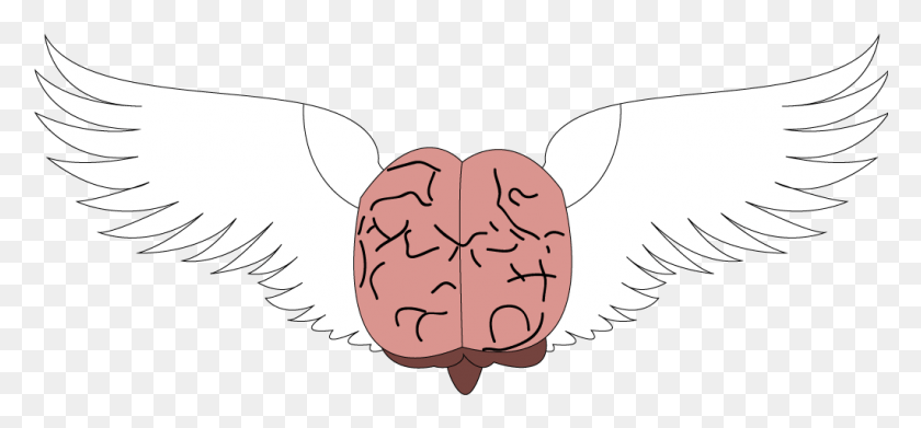 1022x434 Brain With Wings Cerebro Alado Illustration, Cushion, Bird, Animal HD PNG Download