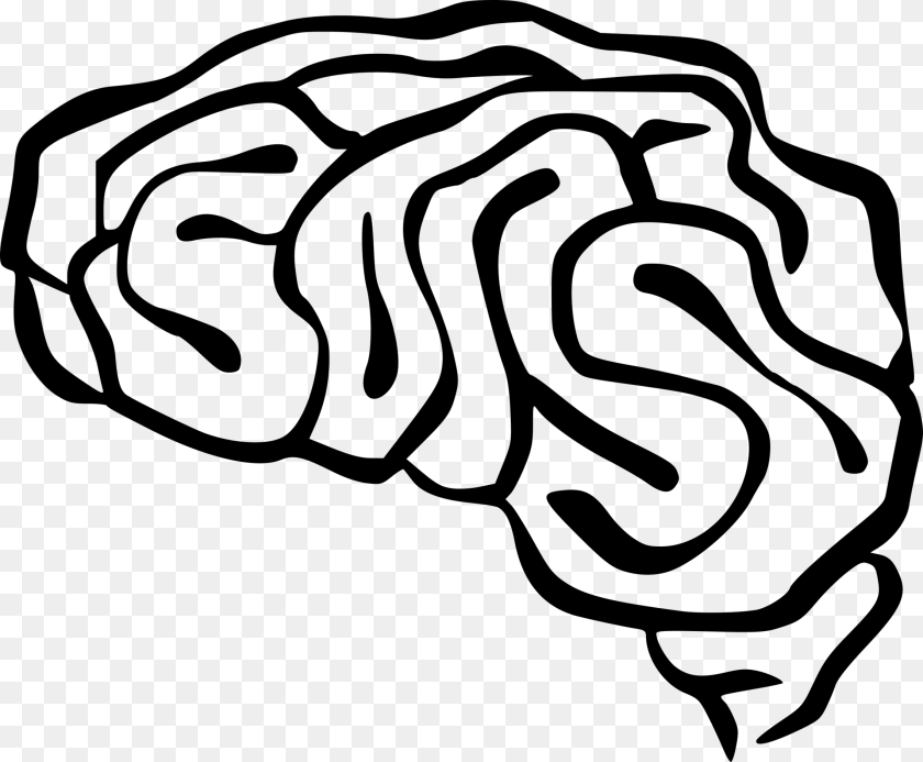 2280x1881 Brains Clipart Easy Brain Clip Art, Gray Transparent PNG