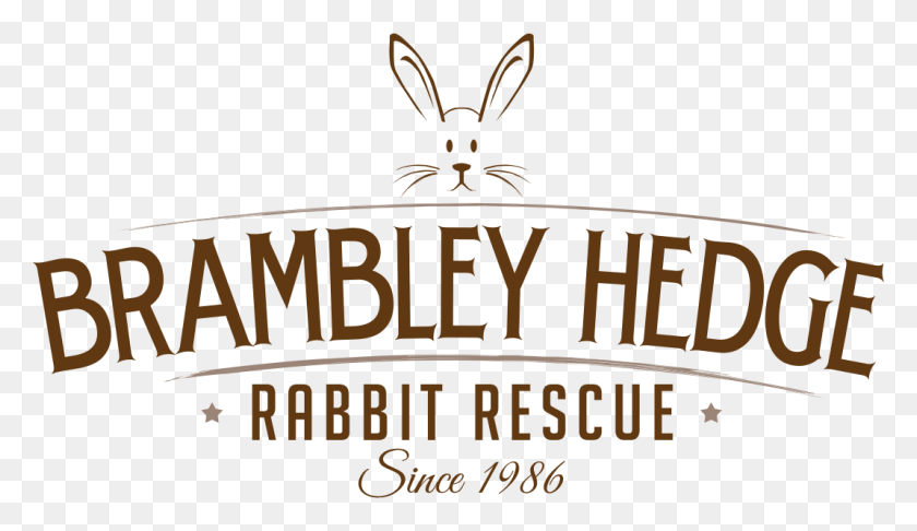 1069x584 Brambley Hedge Rabbit Rescuebrambley Hedge Rabbit Rescue Domestic Rabbit, Mammal, Animal, Text HD PNG Download