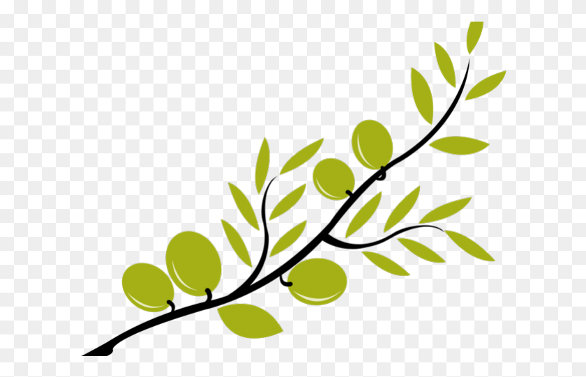 612x481 Branch Clipart Olive Oil Transparent Olive Branch, Green, Graphics HD PNG Download
