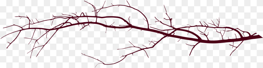 Branch Divider, Pattern, Accessories, Purple, Plant Transparent PNG