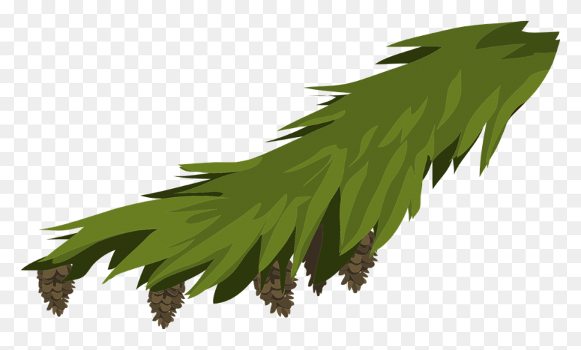 960x549 Branch Evergreen Fir Spruce Pine Pinecones Xmas Hojas De Pino, Leaf, Plant, Vegetation HD PNG Download